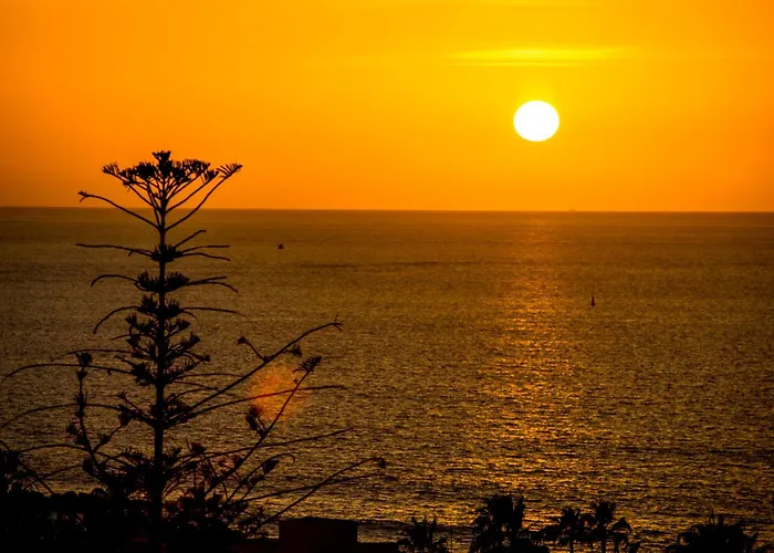 Apartamento Ponderosa 611, Americas, One Bedroom With Large Terrace And Ocean View, Next To Siam Park