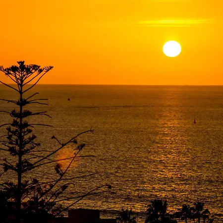 Apartamento Ponderosa 611, Americas, One Bedroom With Large Terrace And Ocean View, Next To Siam Park