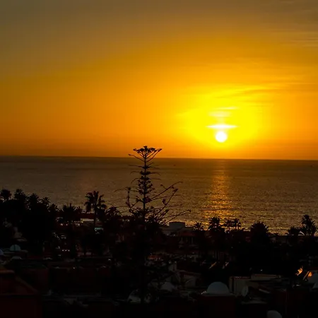 Ponderosa 611, Americas, One Bedroom With Large Terrace And Ocean View, Next To Siam Park * Playa Feñabe