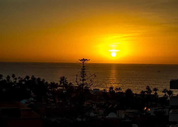 Ponderosa 611, Americas, One Bedroom With Large Terrace And Ocean View, Next To Siam Park * Playa Feñabe